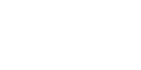 Project Witness